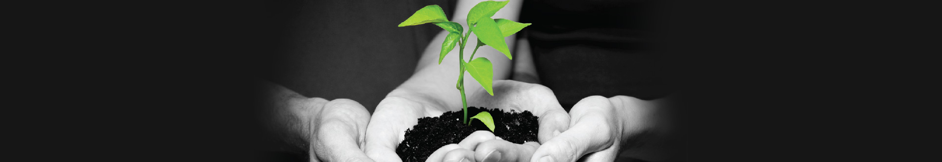 Green Banking