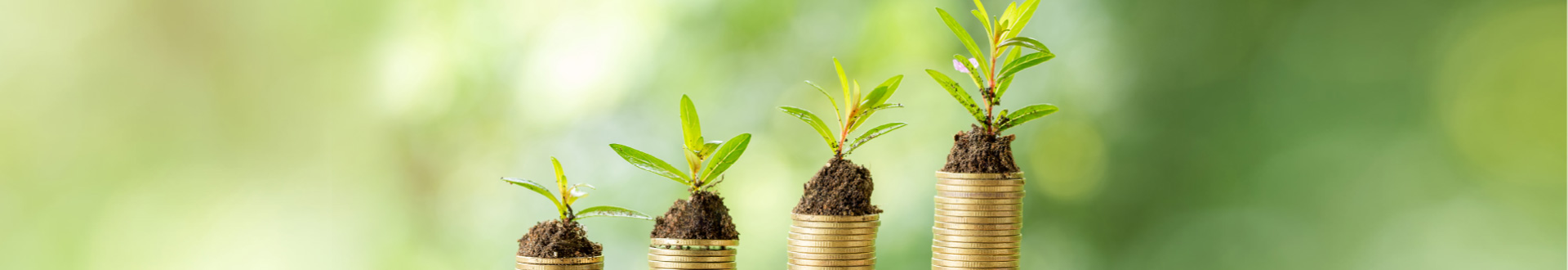 savings-account